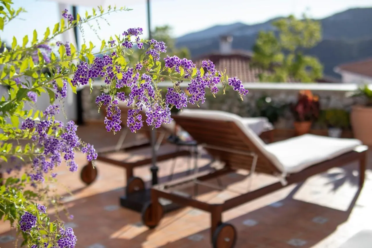 Malaga Hills Double Comfort Boutique & Wellness Eco-Hotel -Adults Only- Cómpeta 0*,