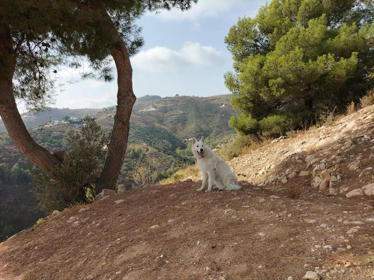 Malaga Hills Double Comfort Boutique & Wellness Eco-Hotel -Adults Only- Cómpeta