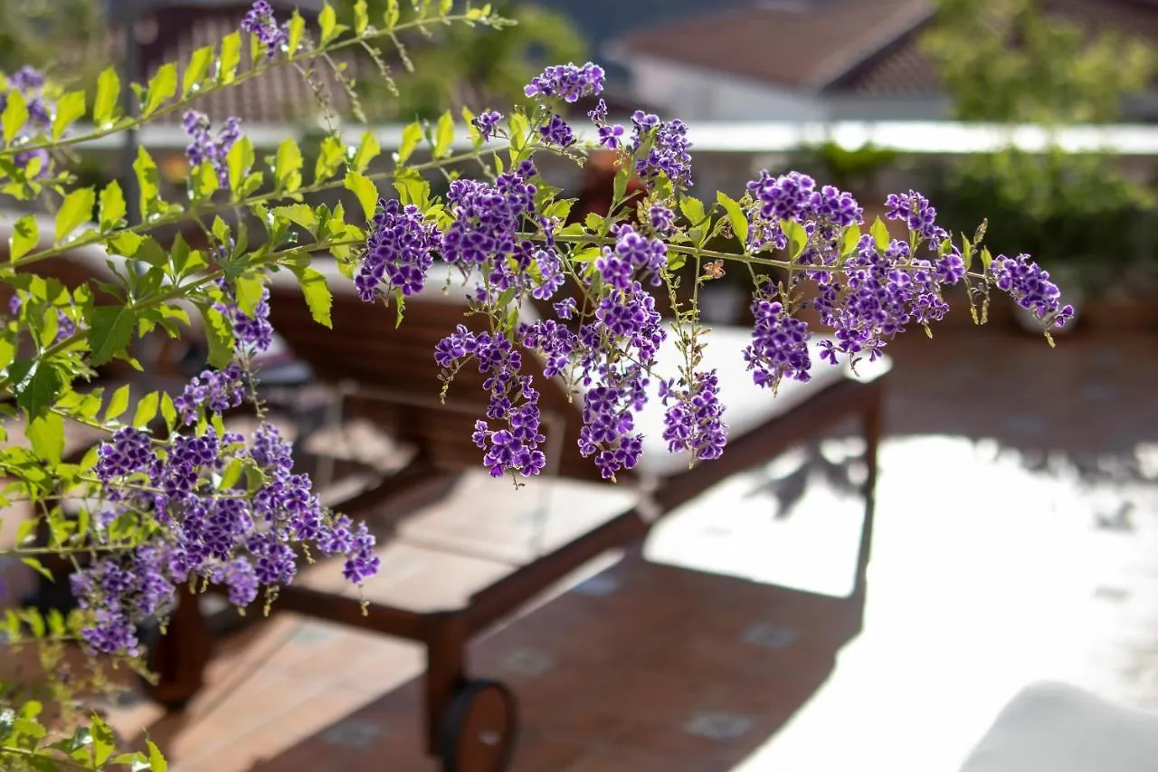 Malaga Hills Double Comfort Boutique & Wellness Eco-Hotel -Adults Only- Cómpeta Hotel